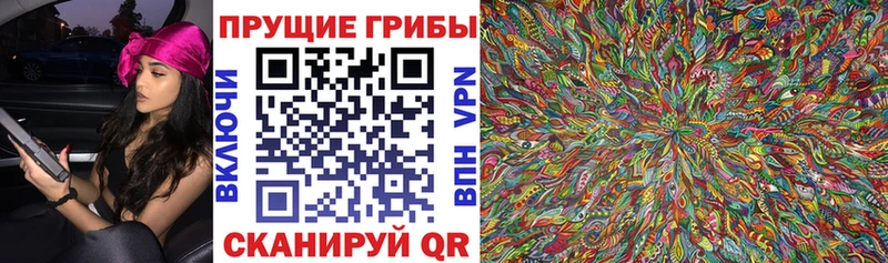 Псилоцибиновые грибы MAGIC MUSHROOMS  Купить  Новый Уренгой 